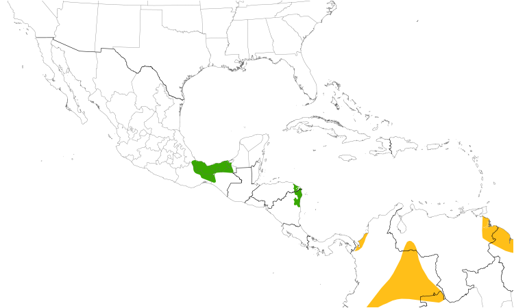 Range Map (Central): Spot-tailed Nightjar