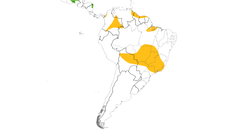Range Map (South): Spot-tailed Nightjar