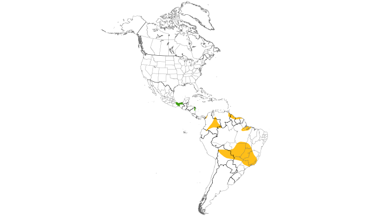 Range Map (Americas): Spot-tailed Nightjar