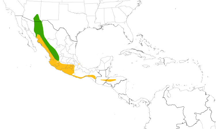 Range Map (Central): Buff-collared Nightjar