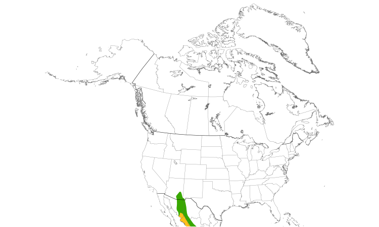 Range Map (North): Buff-collared Nightjar