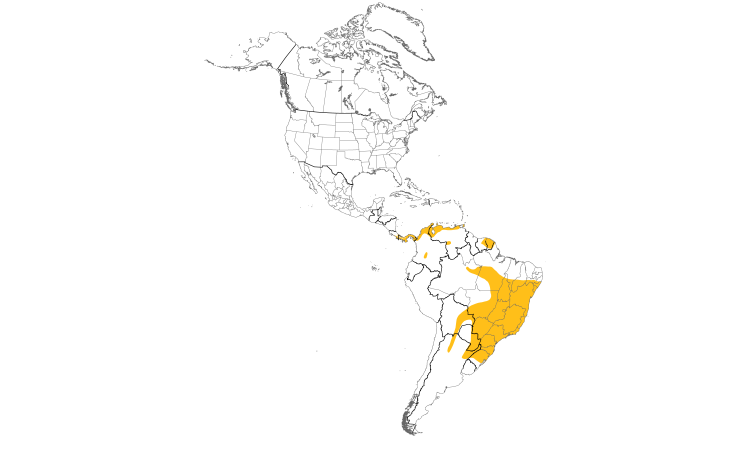 Range Map (Americas): Rufous Nightjar