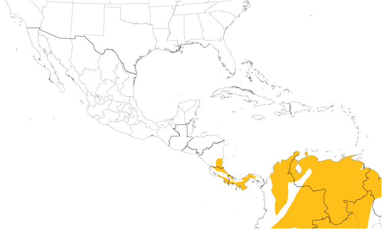 Range Map (Central): Yellow Tyrannulet