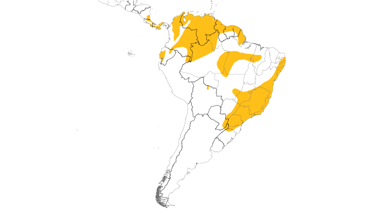 Range Map (South): Yellow Tyrannulet