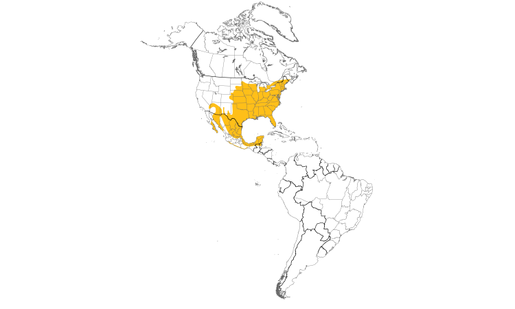 Range Map (Americas): Northern Cardinal