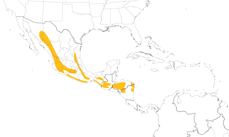 Range Map (Central): Black-headed Siskin