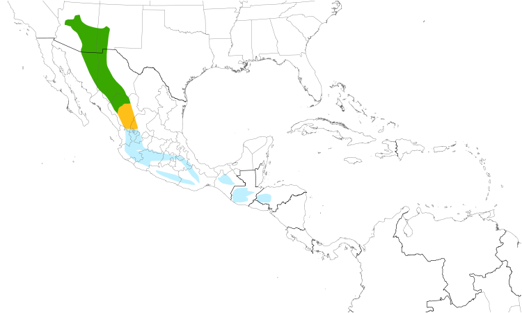 Range Map (Central): Red-faced Warbler