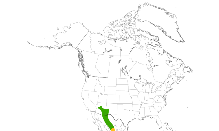 Range Map (North): Red-faced Warbler