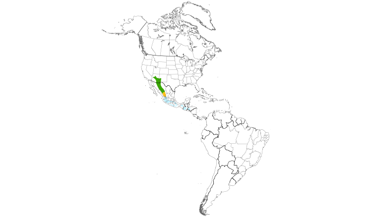 Range Map (Americas): Red-faced Warbler