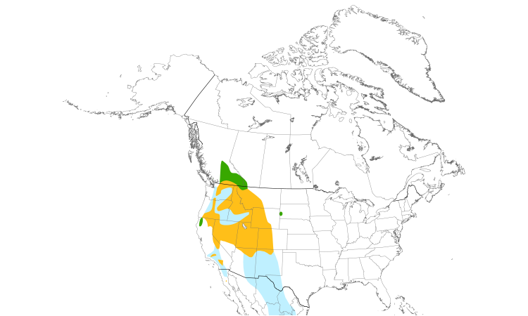 Range Map (North): Cassin's Finch