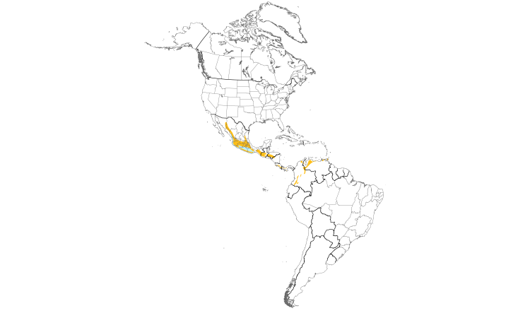Range Map (Americas): Orange-billed Nightingale-Thrush