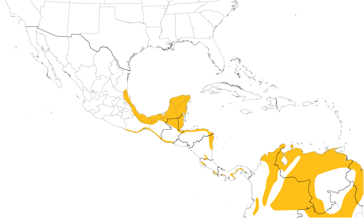 Range Map (Central): Lesser Yellow-headed Vulture