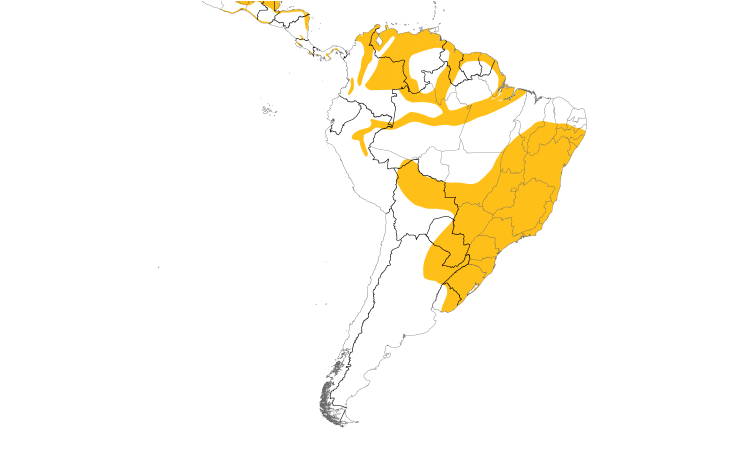 Range Map (South): Lesser Yellow-headed Vulture