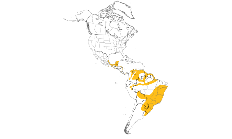 Range Map (Americas): Lesser Yellow-headed Vulture