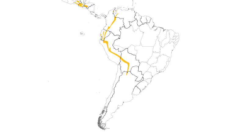 Range Map (South): Spotted Nightingale-Thrush