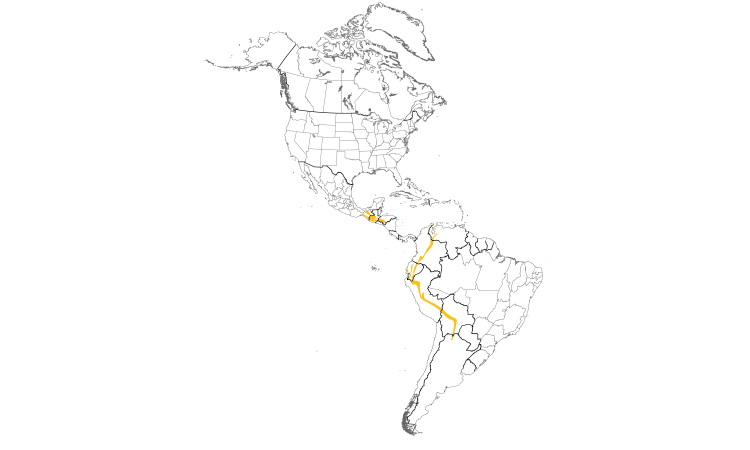Range Map (Americas): Spotted Nightingale-Thrush