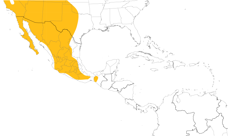 Range Map (Central): Canyon Wren