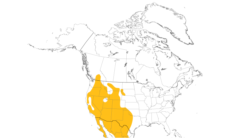 Range Map (North): Canyon Wren