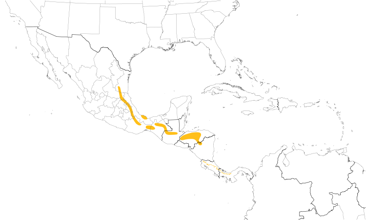 Range Map (Central): Black-headed Nightingale-Thrush