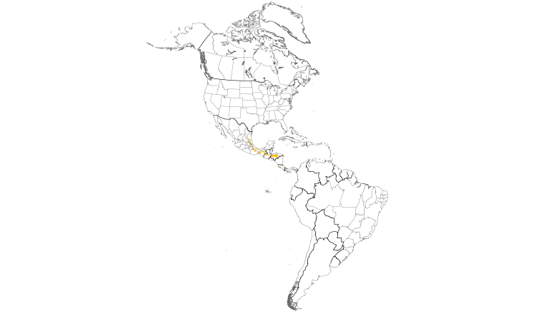 Range Map (Americas): Black-headed Nightingale-Thrush