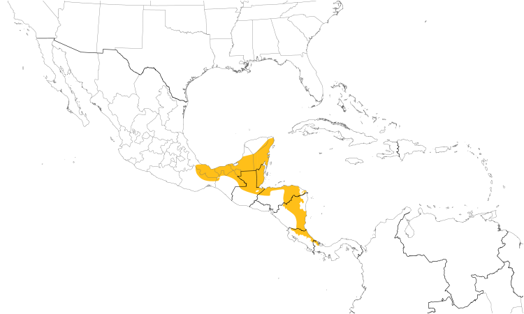 Range Map (Central): Chestnut-colored Woodpecker