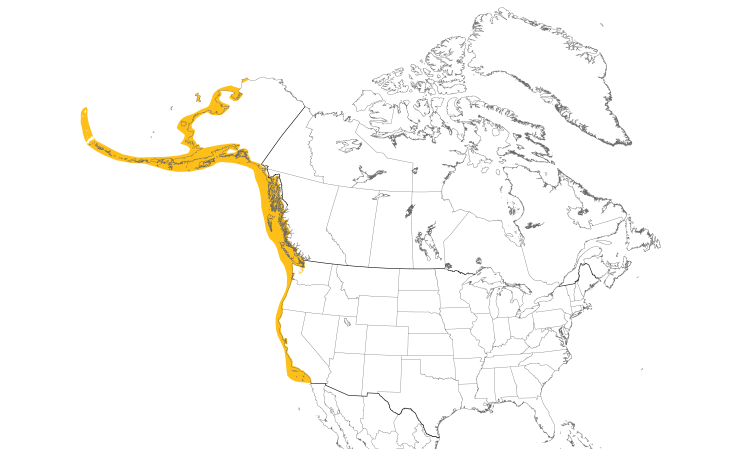 Range Map (North): Pigeon Guillemot