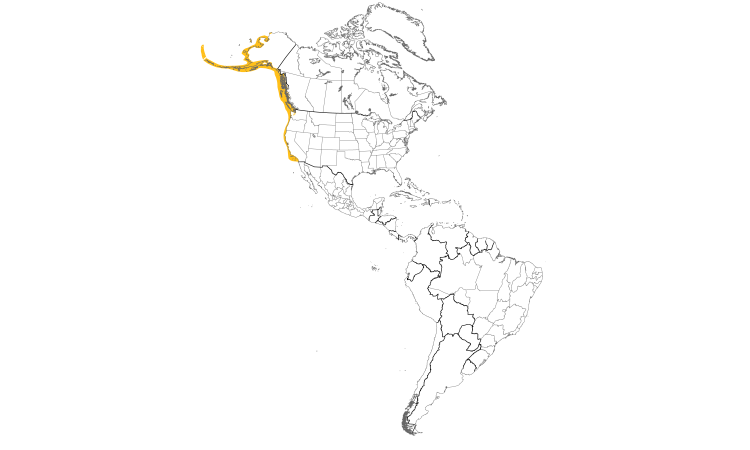 Range Map (Americas): Pigeon Guillemot