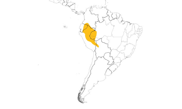Range Map (South): Black Antbird
