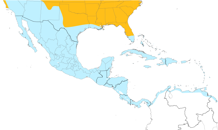 Range Map (Central): Belted Kingfisher