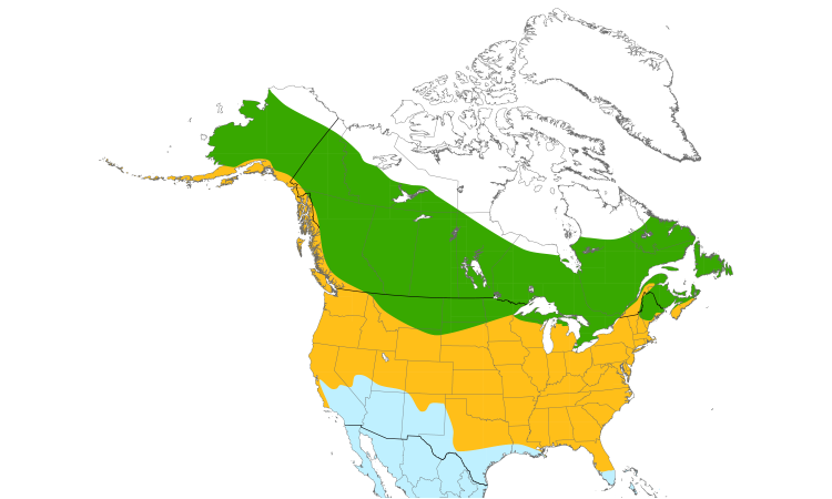 Range Map (North): Belted Kingfisher