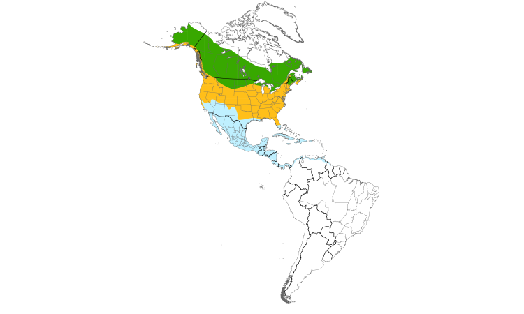 Range Map (Americas): Belted Kingfisher