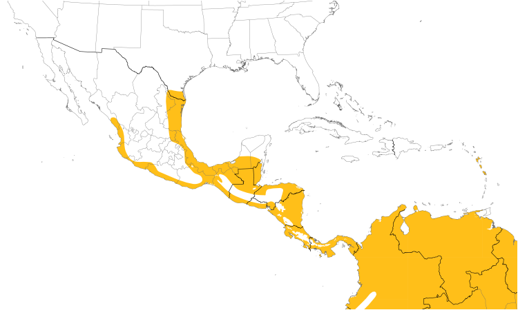 Range Map (Central): Ringed Kingfisher