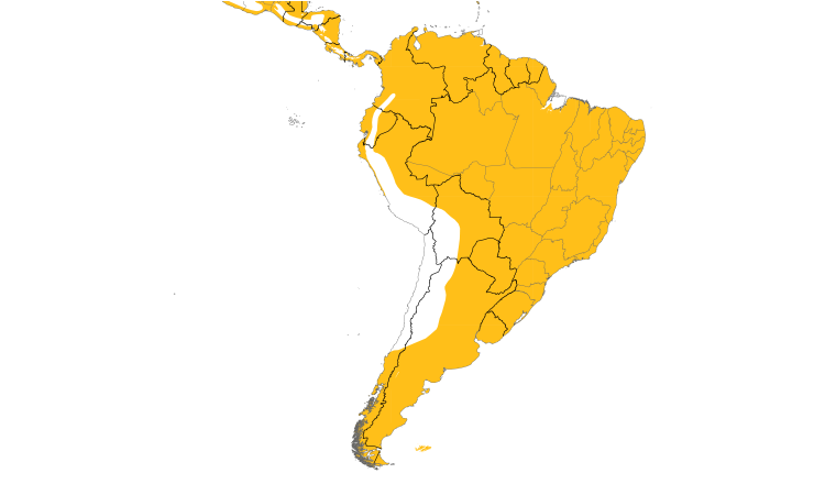 Range Map (South): Ringed Kingfisher