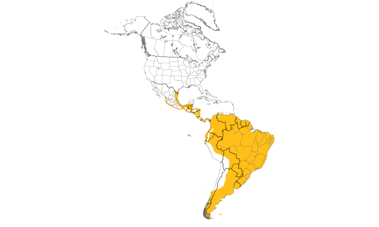 Range Map (Americas): Ringed Kingfisher