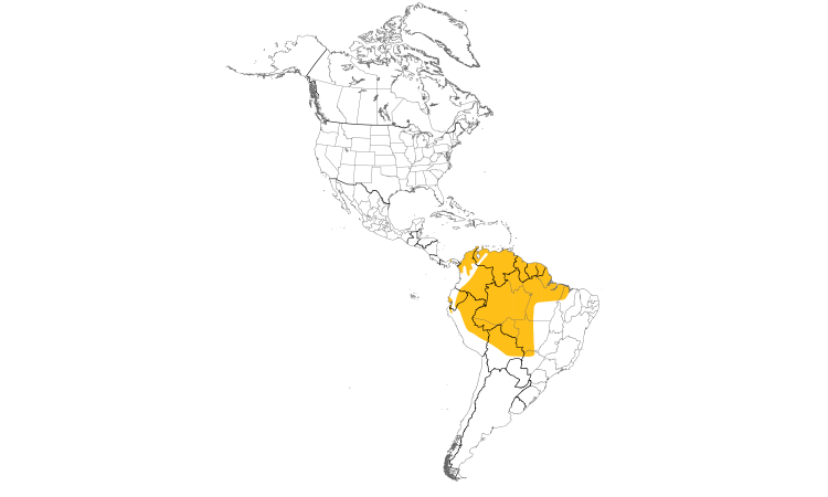 Range Map (Americas): Short-tailed Swift