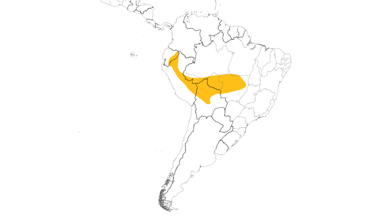 Range Map (South): Pale-rumped Swift
