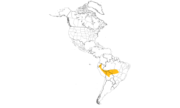Range Map (Americas): Pale-rumped Swift