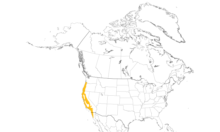 Range Map (North): Wrentit