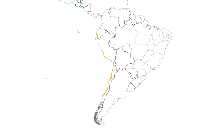 Range Map (South): Snowy Plover