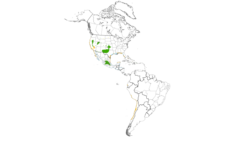 Range Map (Americas): Snowy Plover