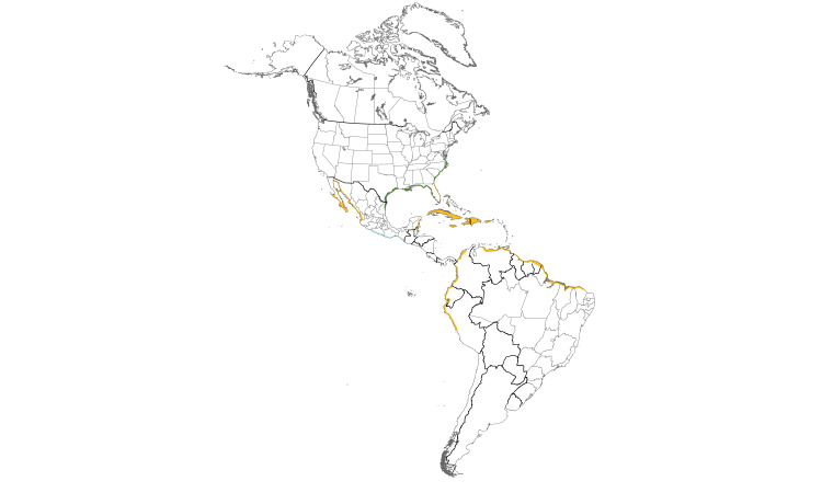 Range Map (Americas): Wilson's Plover