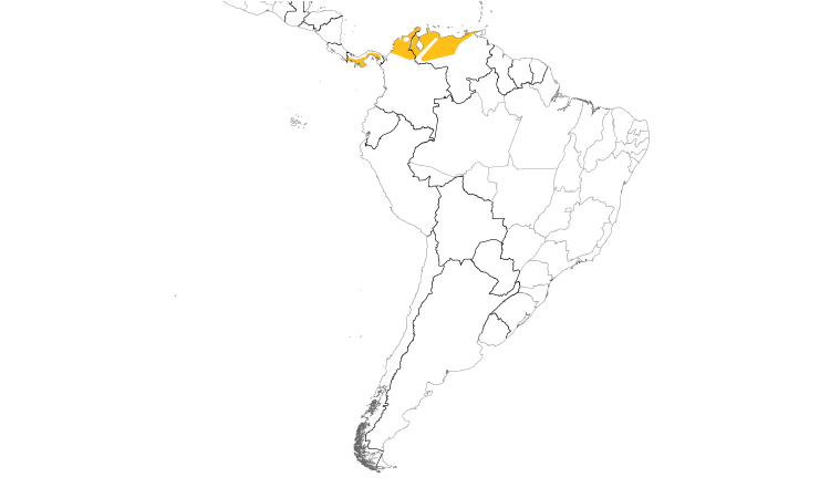 Range Map (South): Lance-tailed Manakin