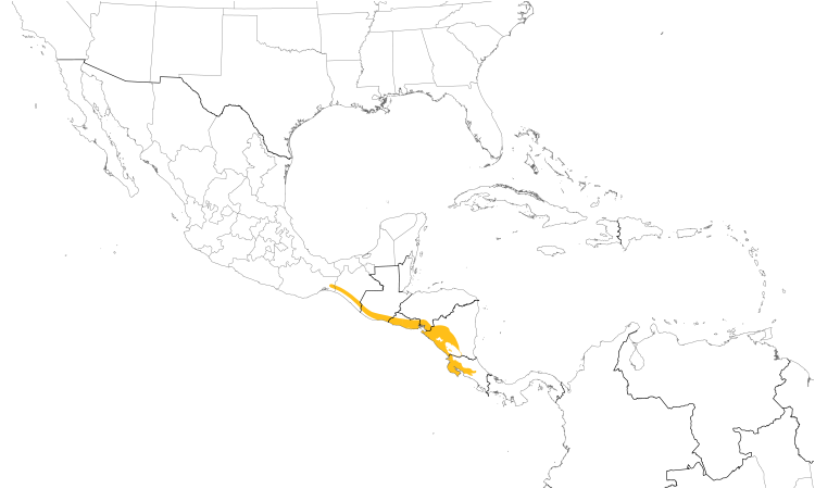 Range Map (Central): Long-tailed Manakin