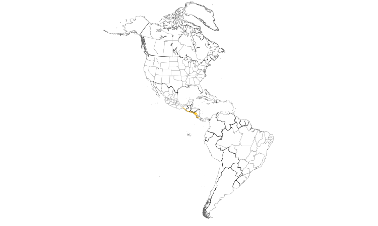 Range Map (Americas): Long-tailed Manakin