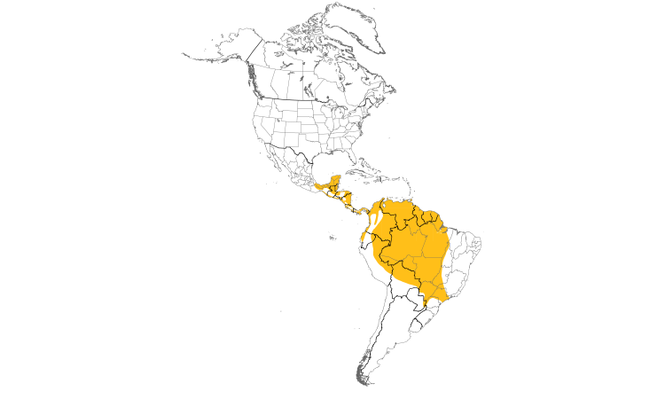Range Map (Americas): American Pygmy Kingfisher