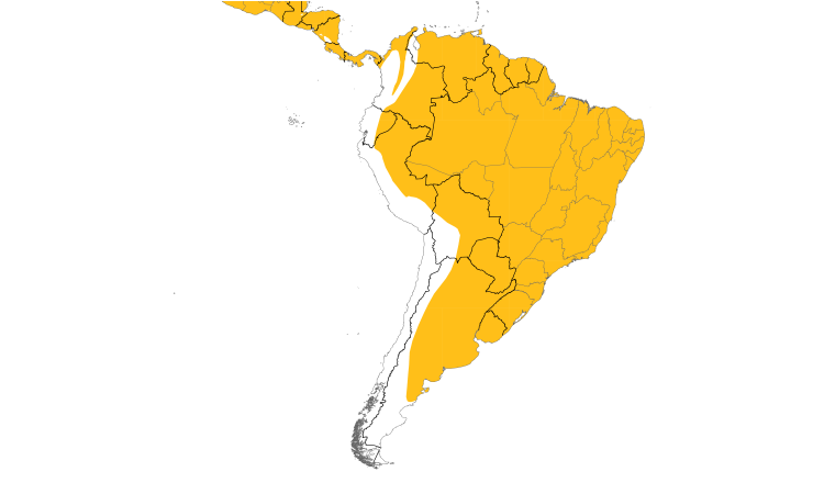 Range Map (South): Green Kingfisher