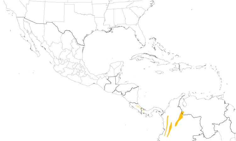 Range Map (Central): Ashy-throated Chlorospingus
