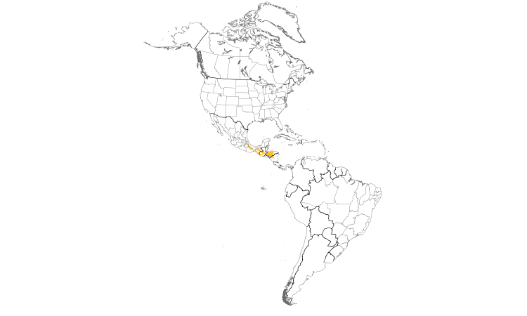 Range Map (Americas): Blue-crowned Chlorophonia