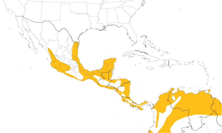 Range Map (Central): Hook-billed Kite