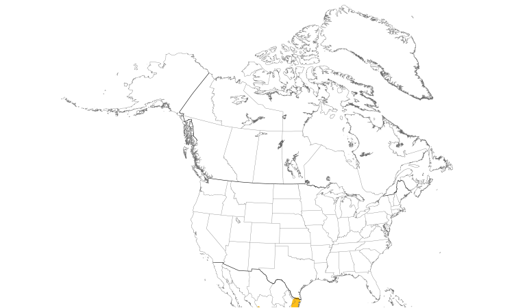 Range Map (North): Hook-billed Kite